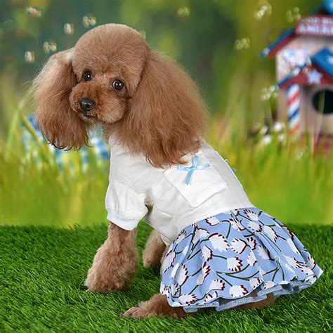 699 (6. . Dog dresses for small dogs